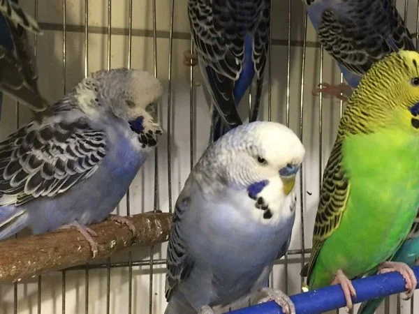 183707851862f39dd80eeb06.01932619