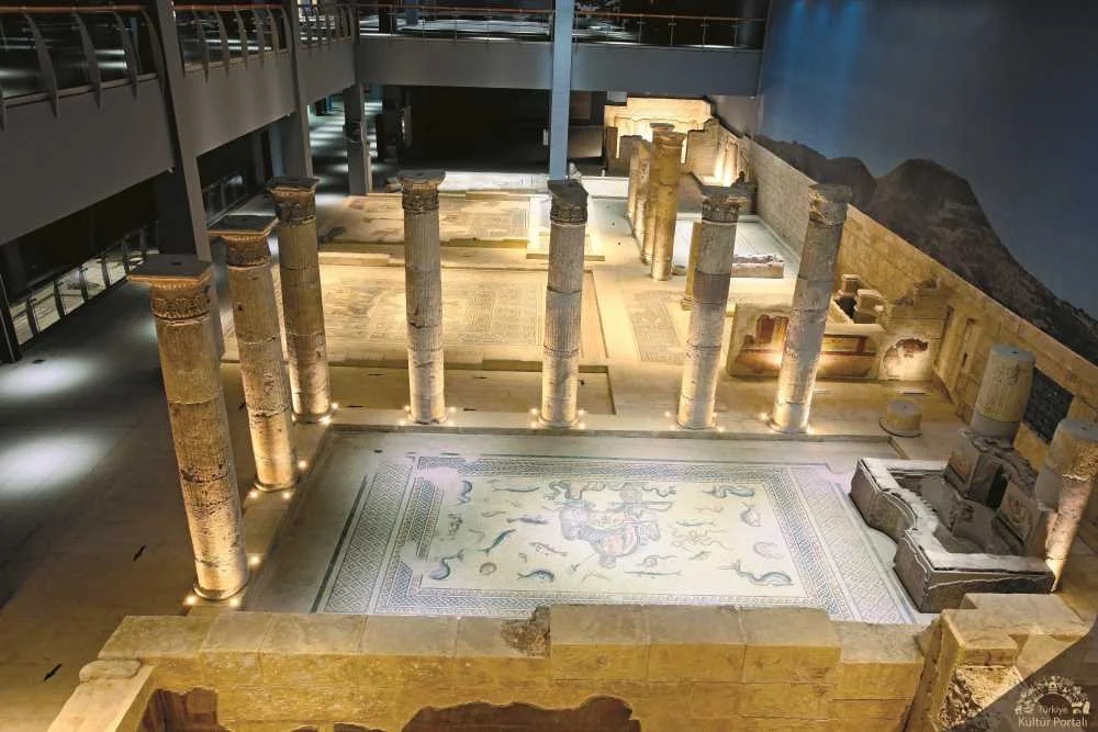 20171004160232697_muze_0015