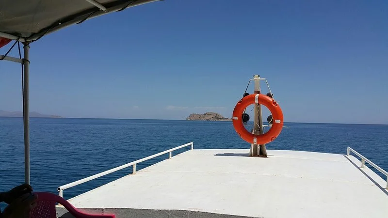 20180707-103013-largejpg