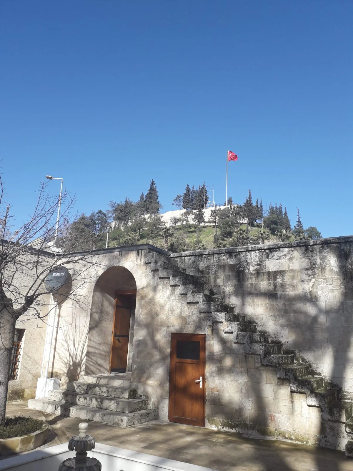 20190129_120355-e1554156415129