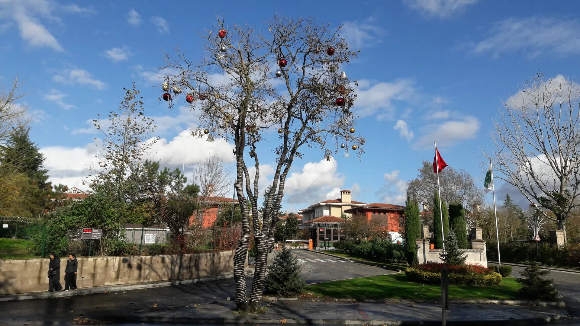 20191129_140132_Richtone(HDR)