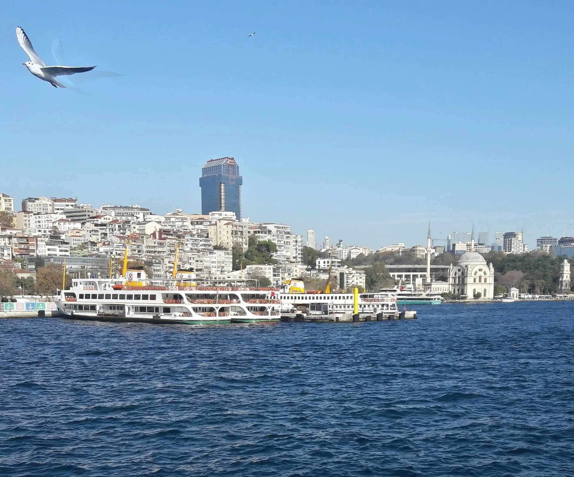 20191130_111513_Richtone(HDR)