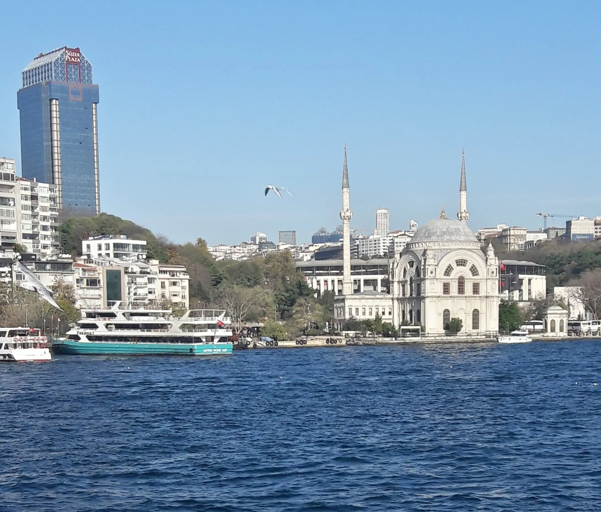 20191130_111554_Richtone(HDR)