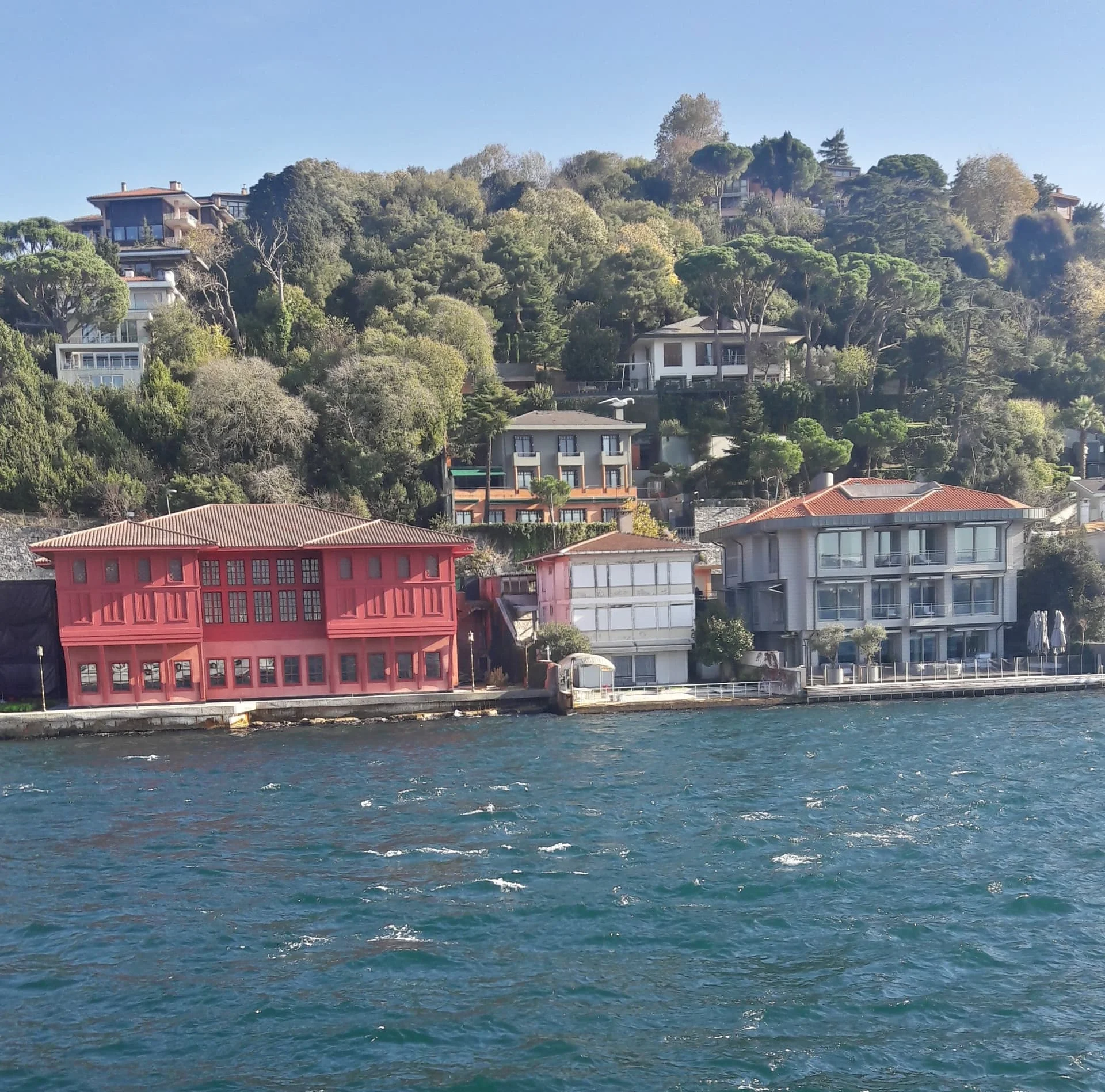 20191130_115137_Richtone(HDR)