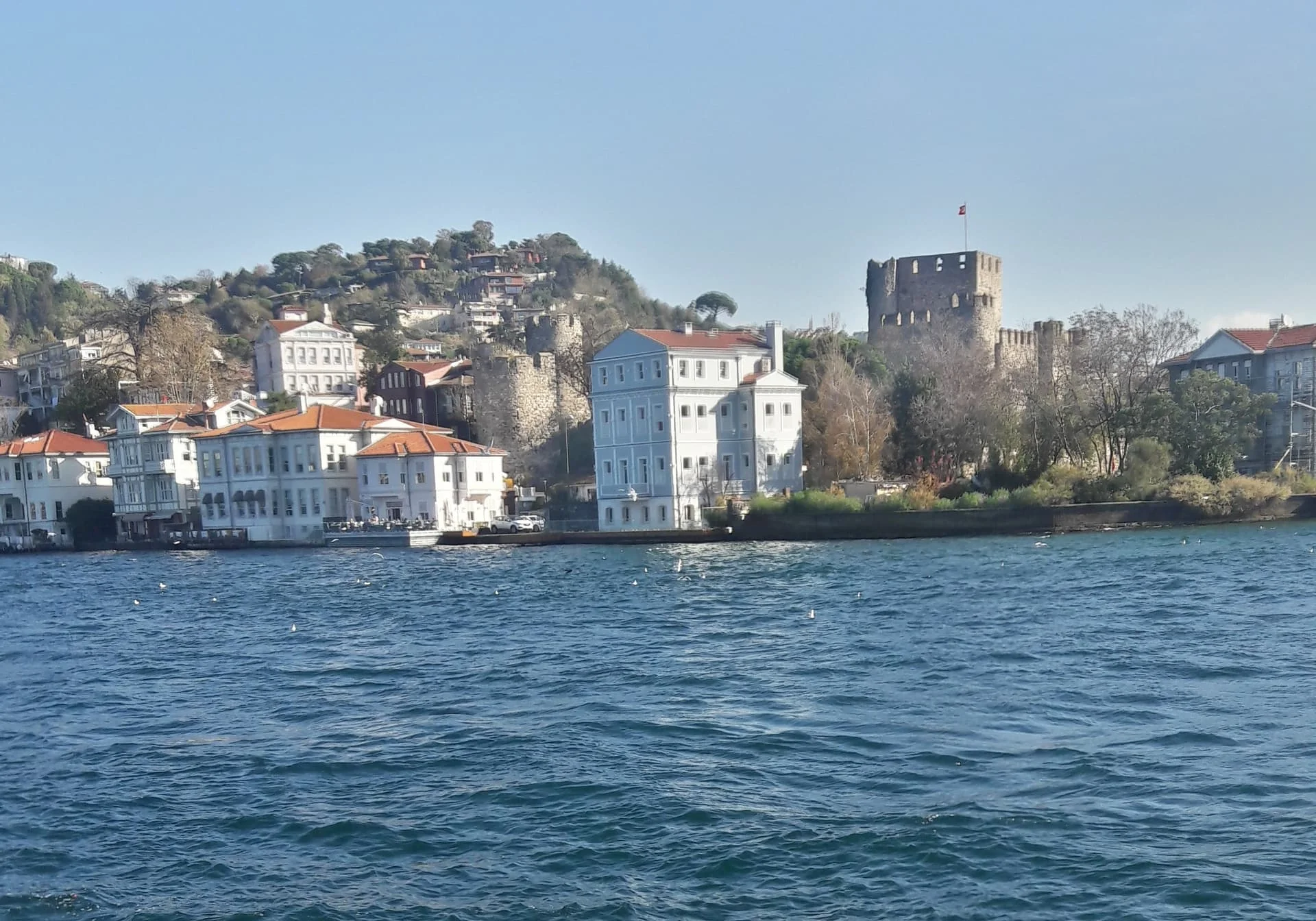 20191130_115309_Richtone(HDR)