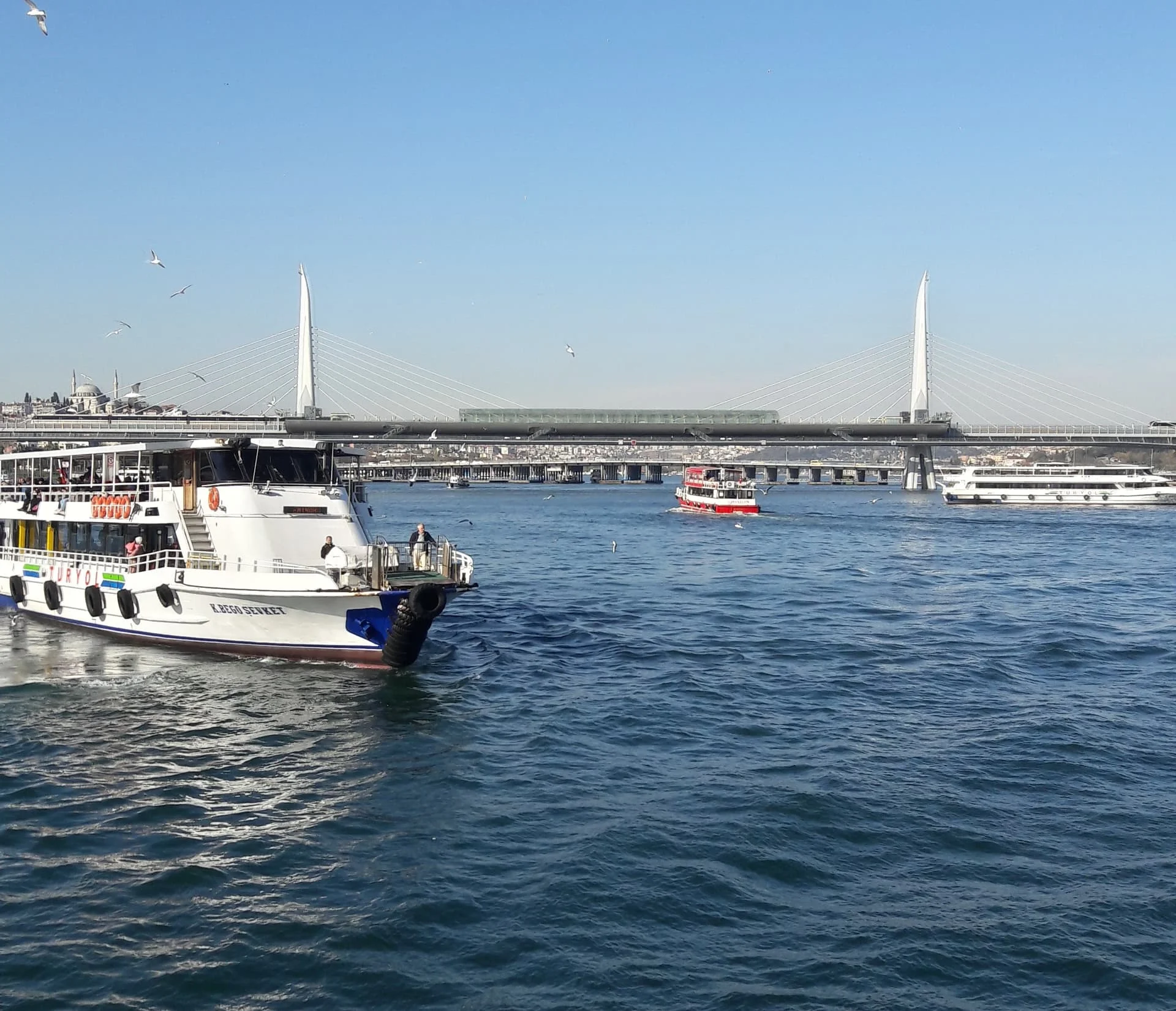 20191130_123621_Richtone(HDR)