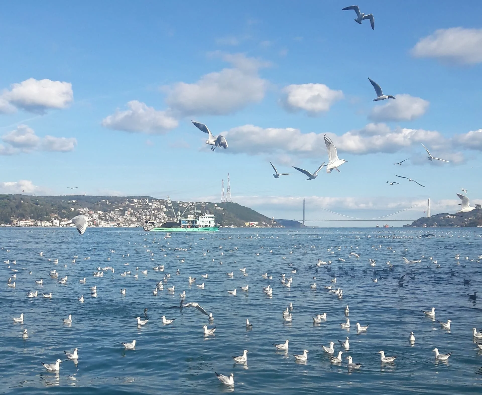 20191202_125550_Richtone(HDR)