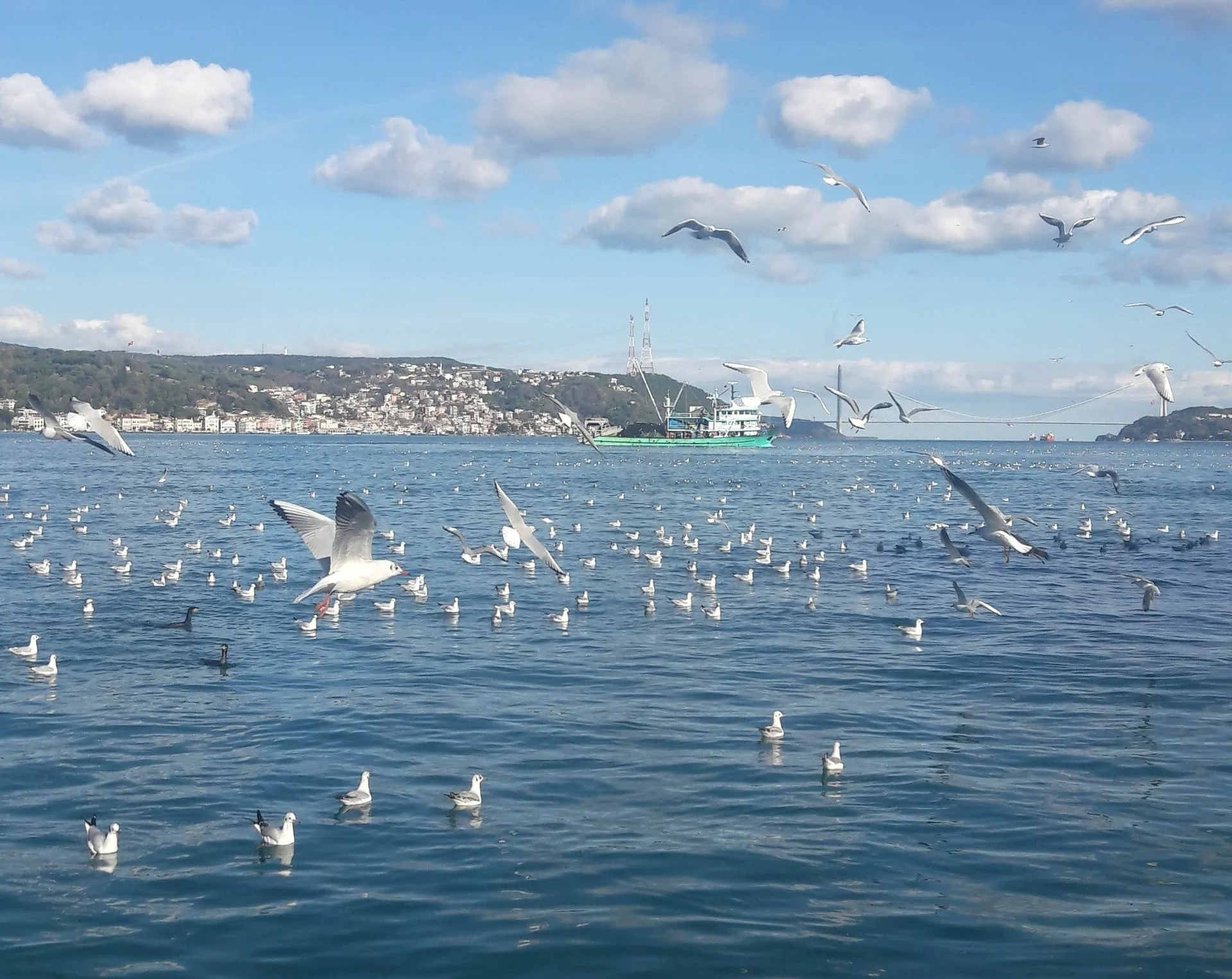 20191202_125610_Richtone(HDR)