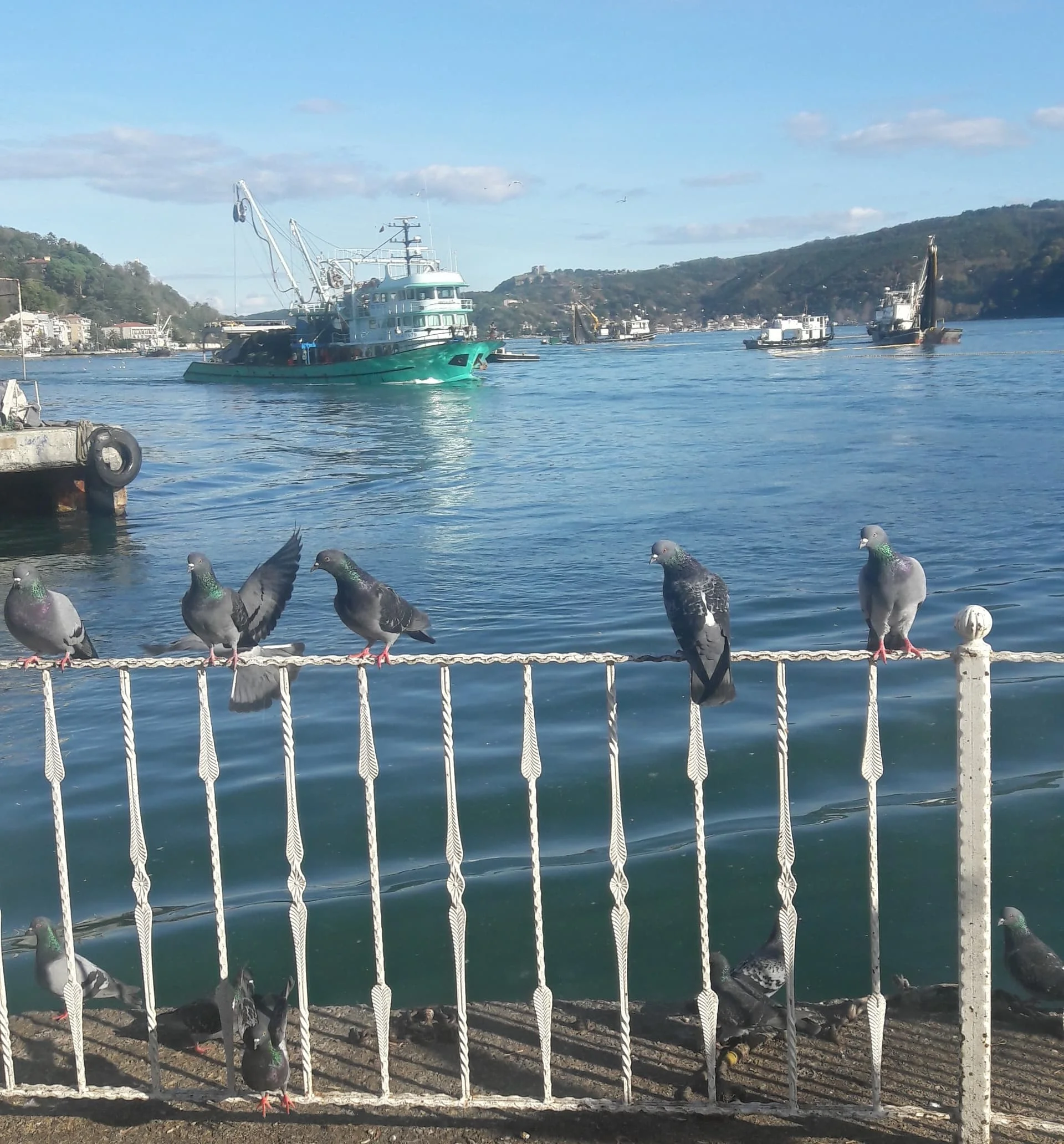 20191202_135330_Richtone(HDR)