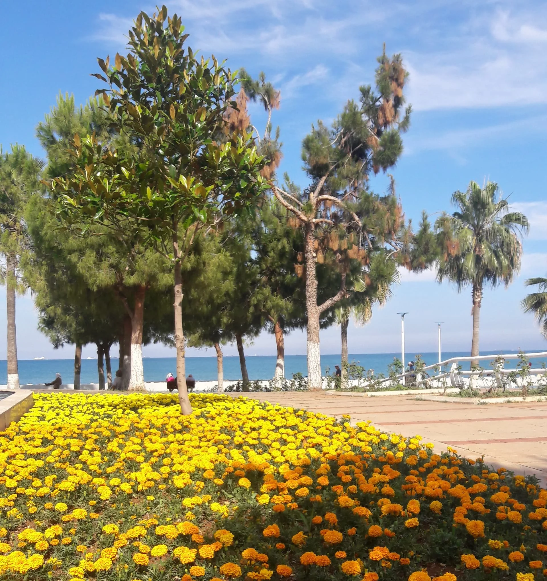 20200531_163741_Richtone(HDR)