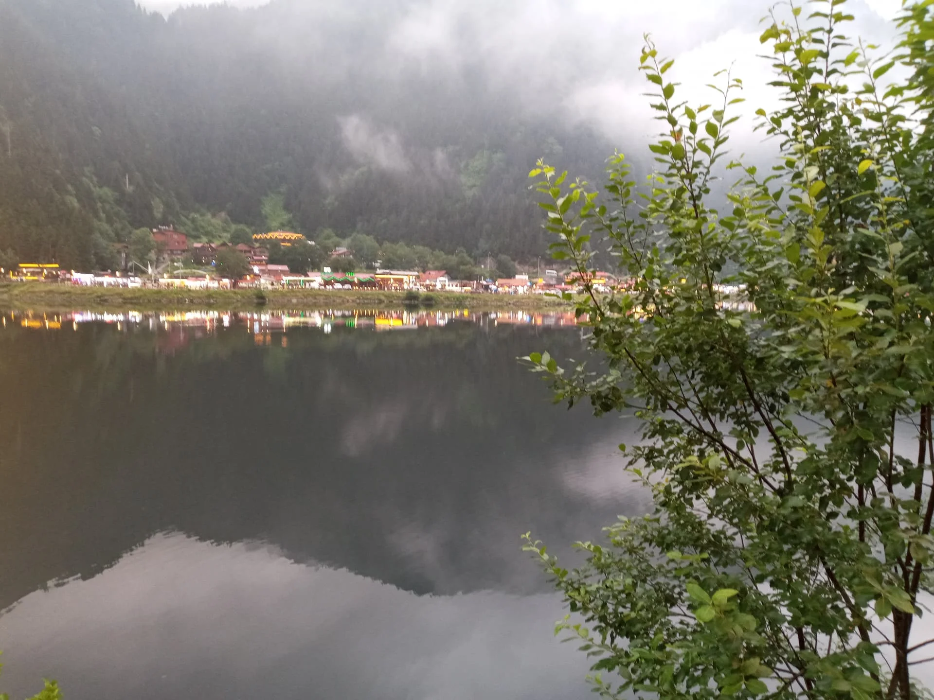 20210710_193227_mfnr