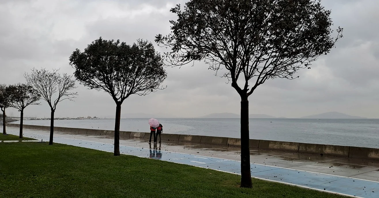 20231118_170444 (1).webp