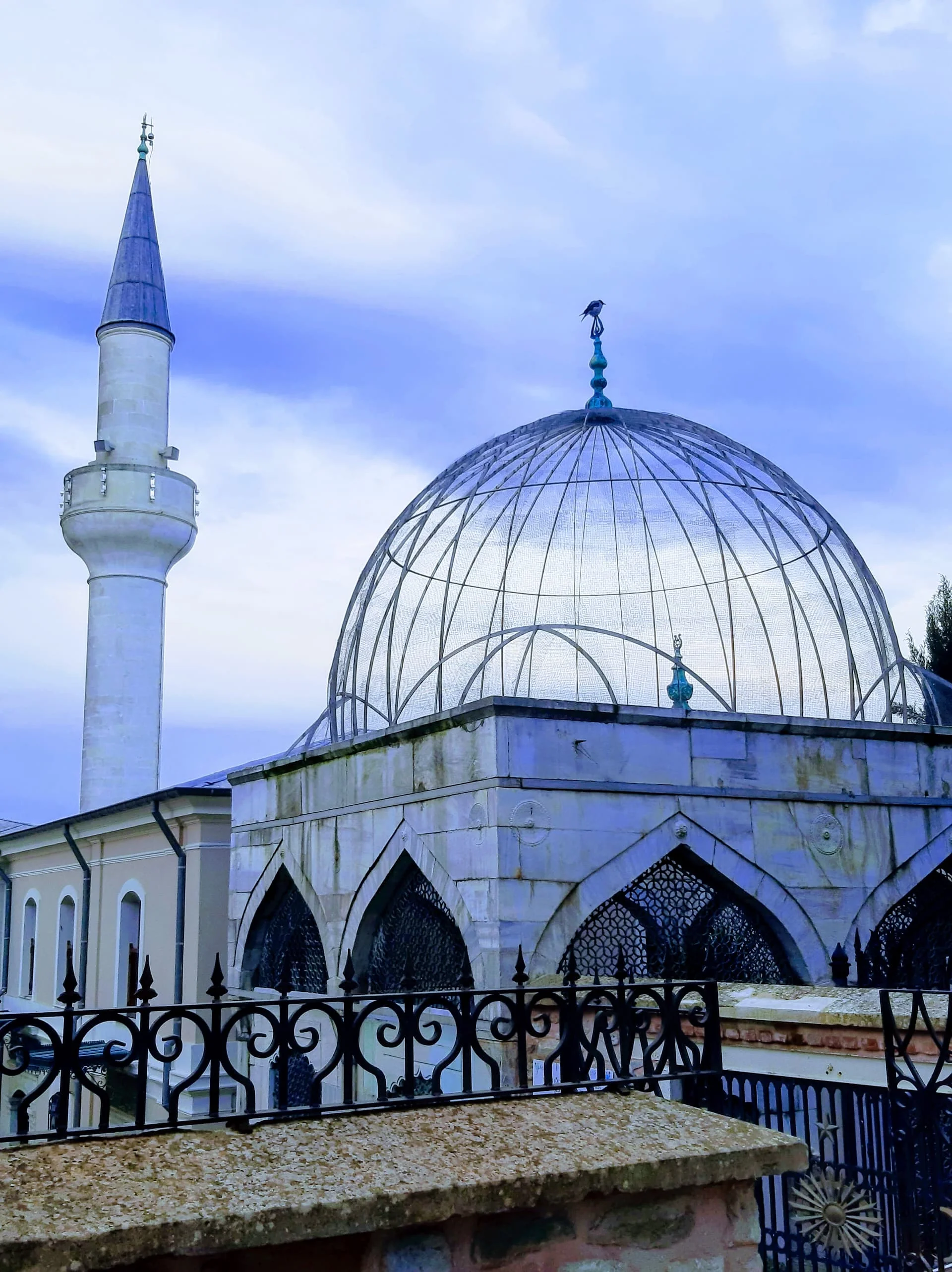 20240118_173805-EFFECTS