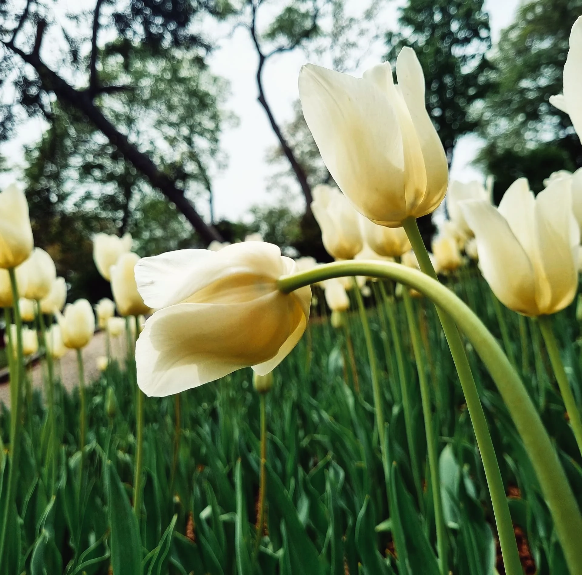 20240423_130611_1713983728893-02