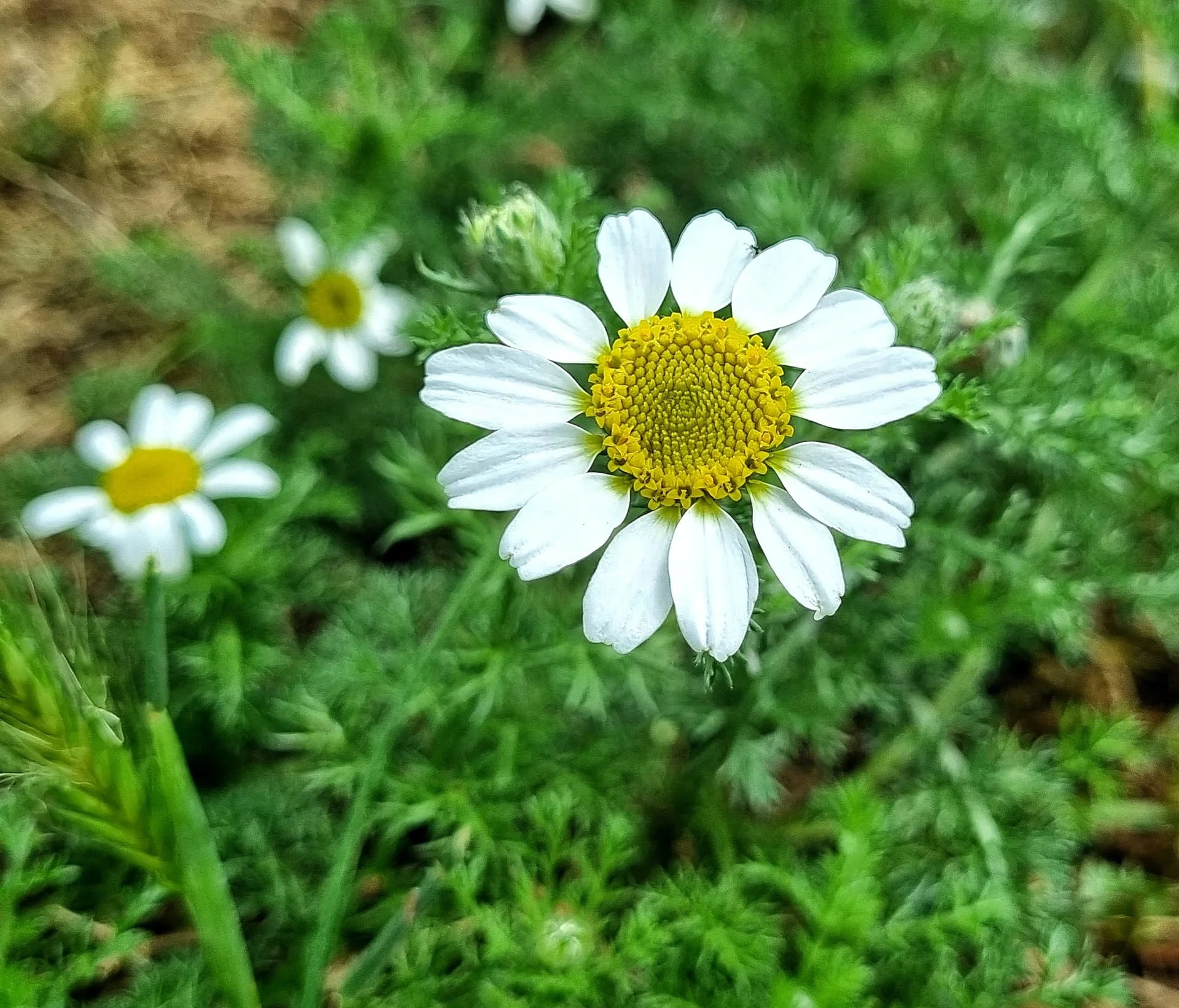 20240429_122423_1714382811627-01