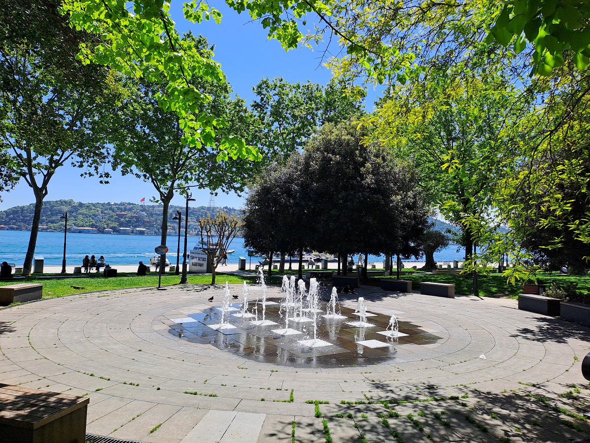 20240506_114347 (1).jpg