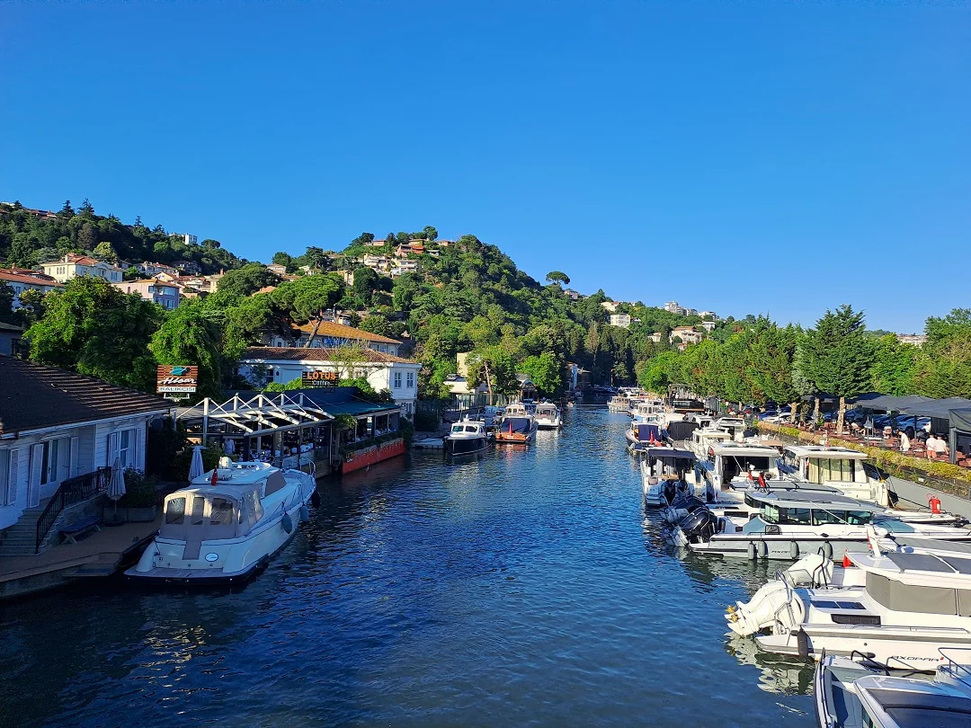 20240617_185229 (1).webp