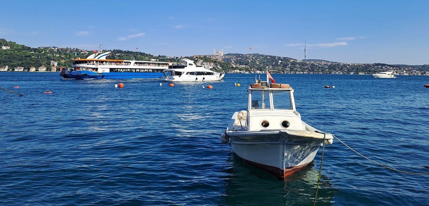 20240715_165102 (1).jpg