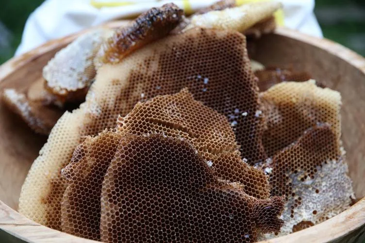 20240918_2_65565766_104843681