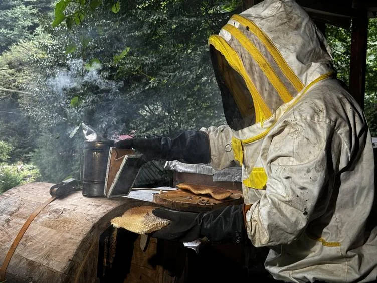 20240918_2_65565766_104843682