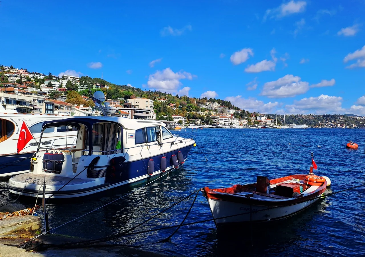 20241024_135303 (1).webp