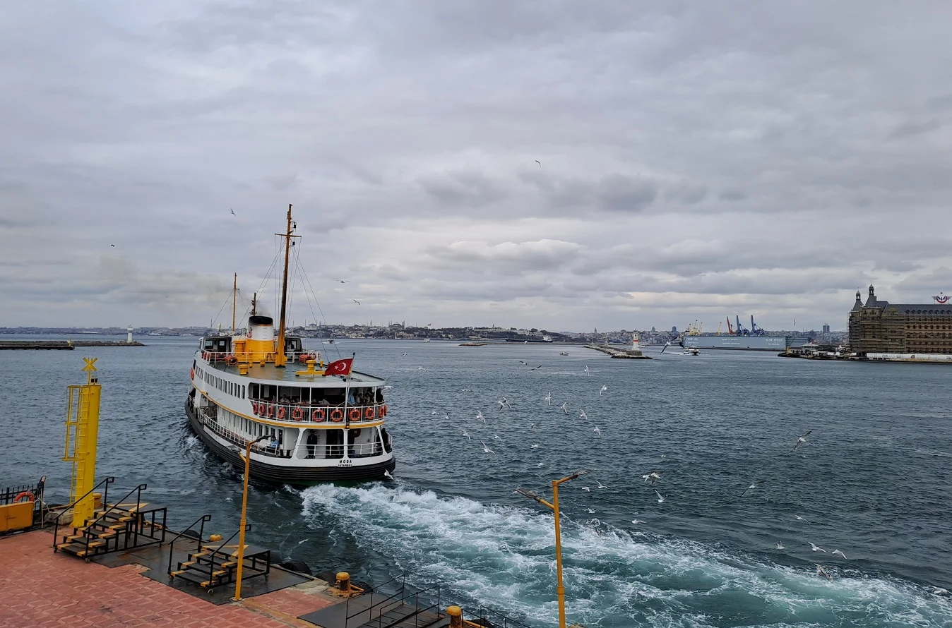 20241116_124652 (1).webp