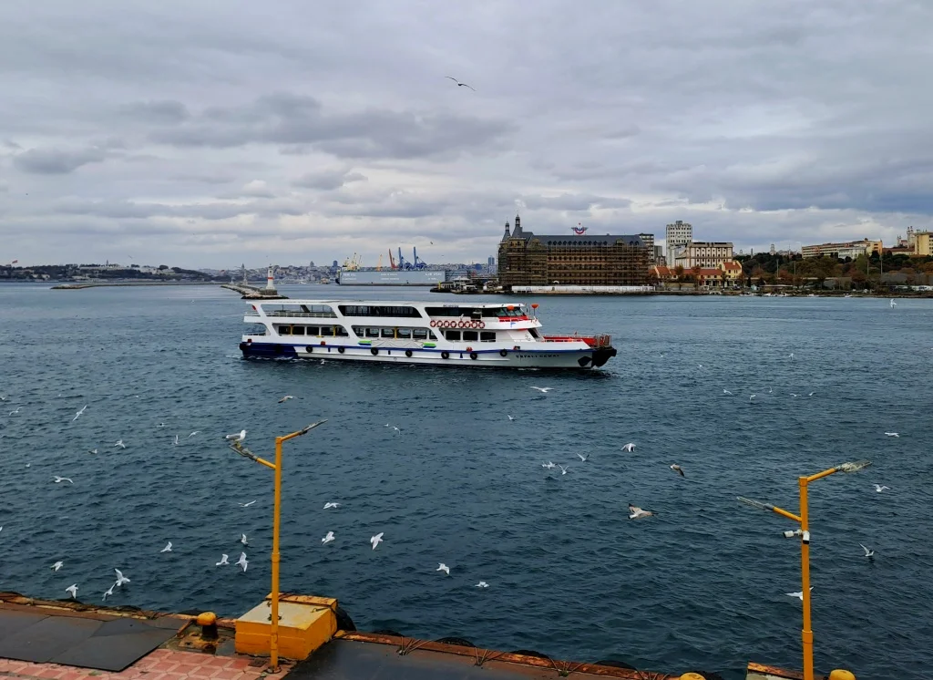 20241116_125310 (1).webp