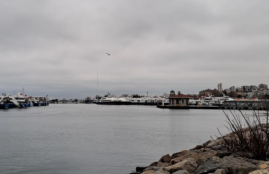 20250111_163648 (1).webp