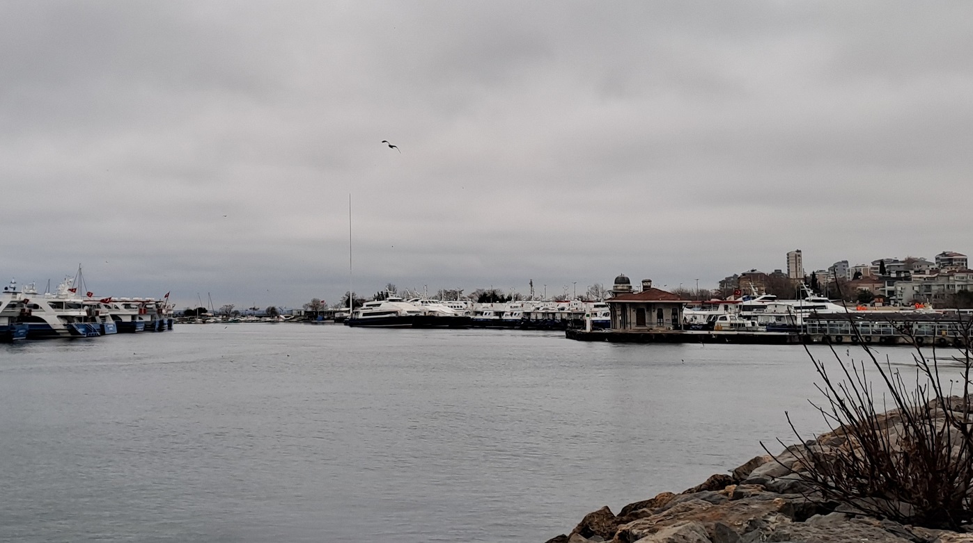 20250111_163648 (2).jpg