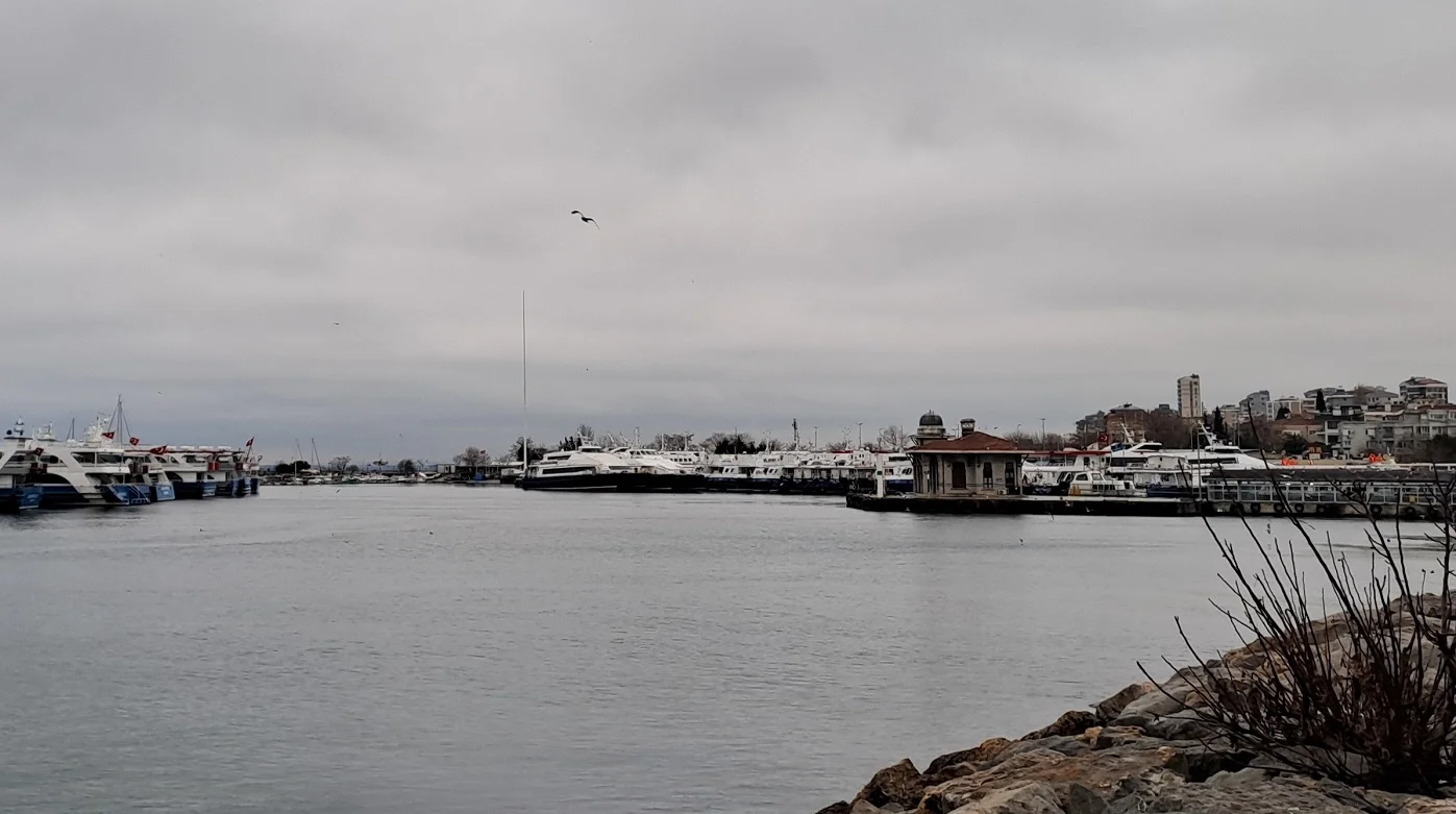 20250111_163648 (2).webp