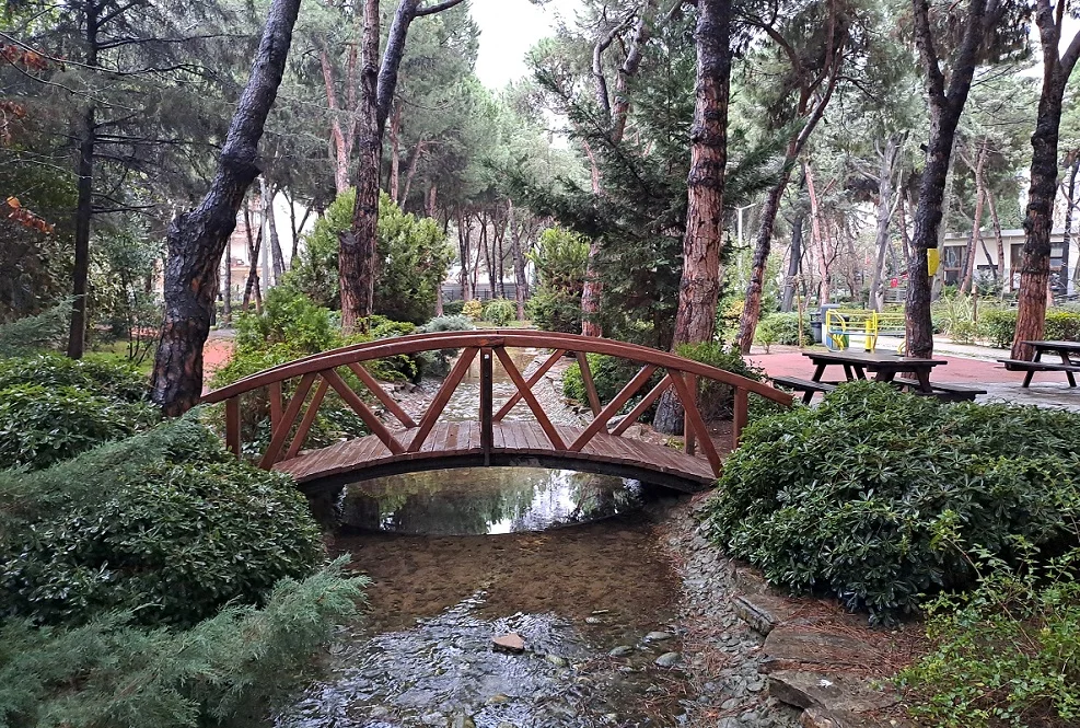 20250125_135604 (1).webp