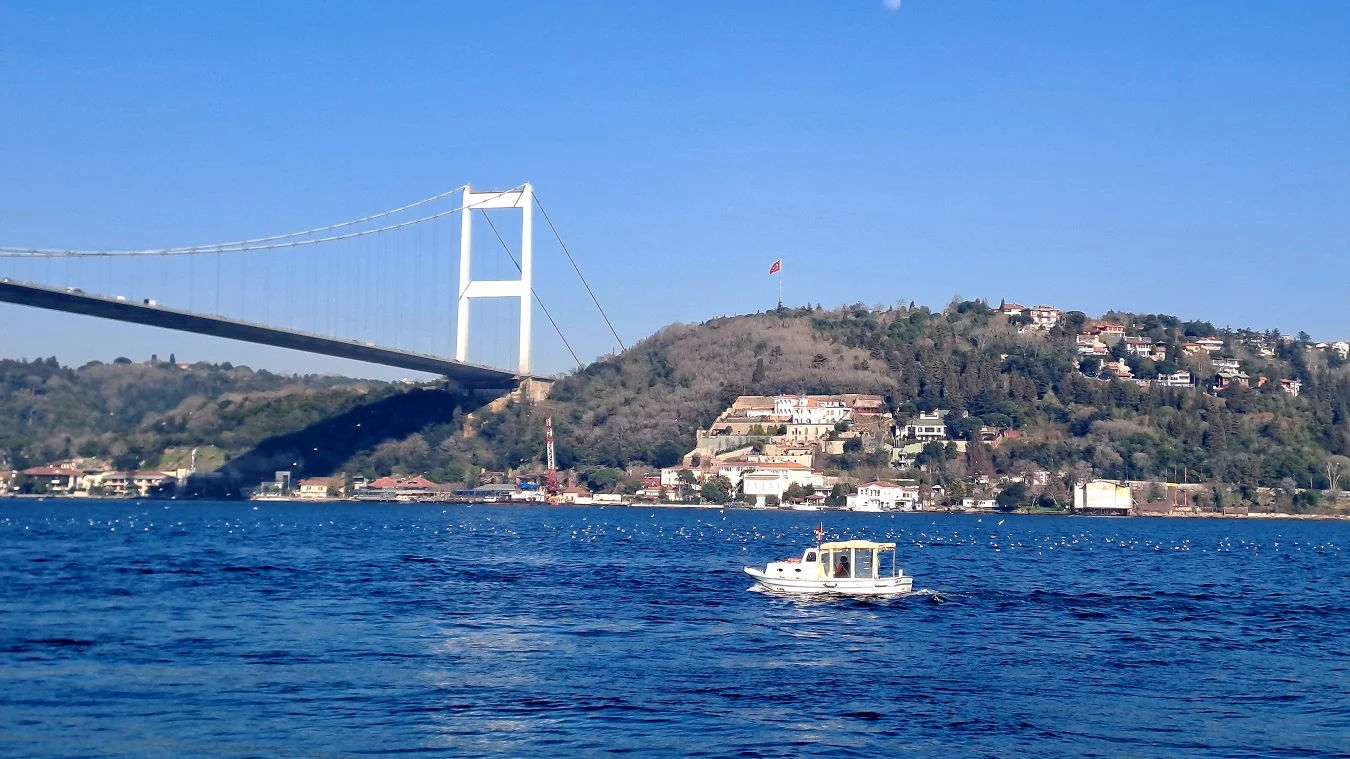 20250310_163929 (1).webp