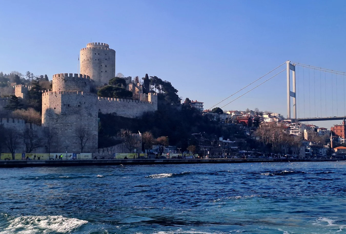 20250310_165849 (1).webp