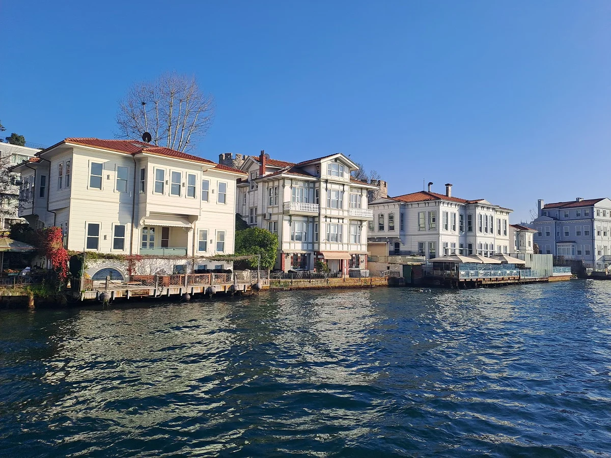 20250310_170303 (3).webp