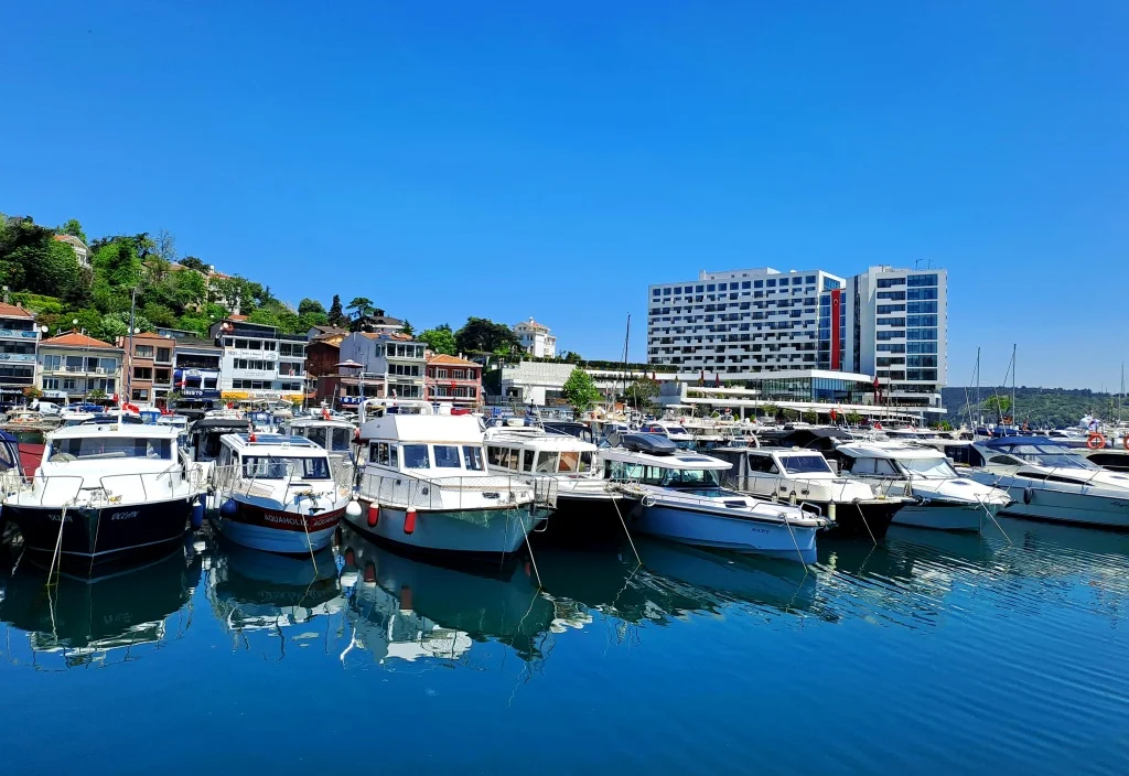 20250519_124125 (1).jpg