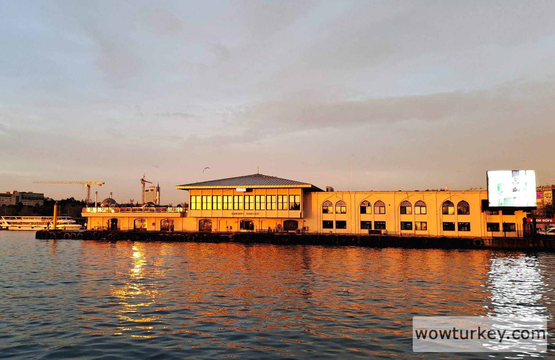 20251129_172552 (1).jpg