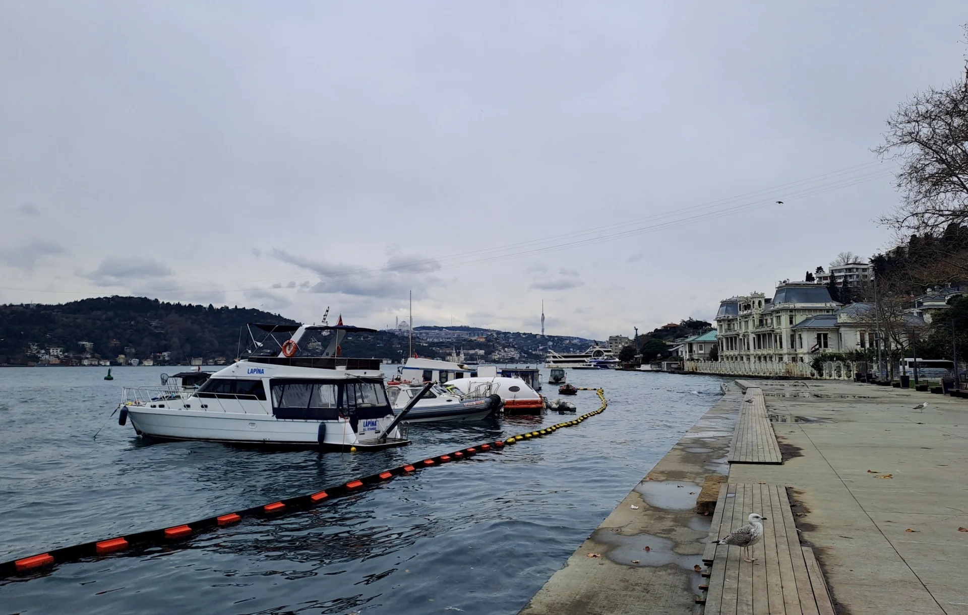 20251231_130453 (1).webp