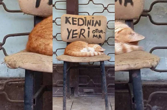 2085868_0e164e63009e931c589a53713dc29a20_640x640