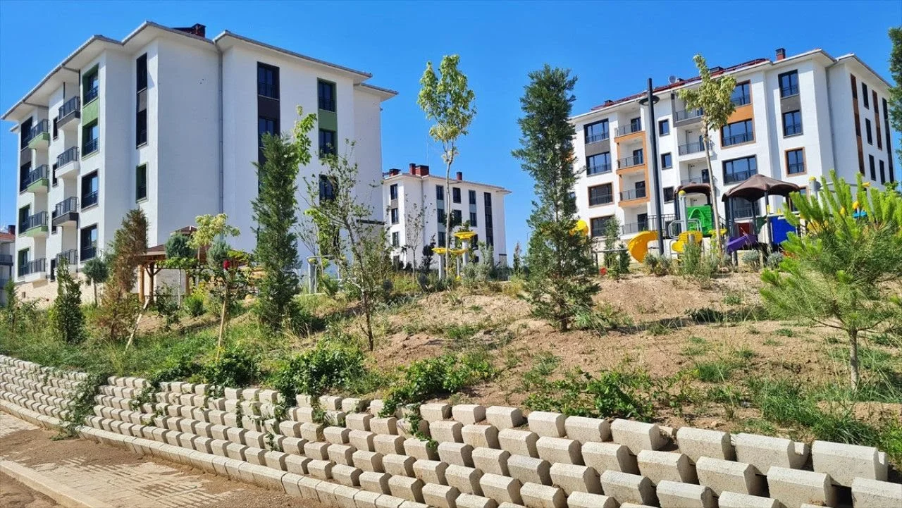 229461193-1712408555