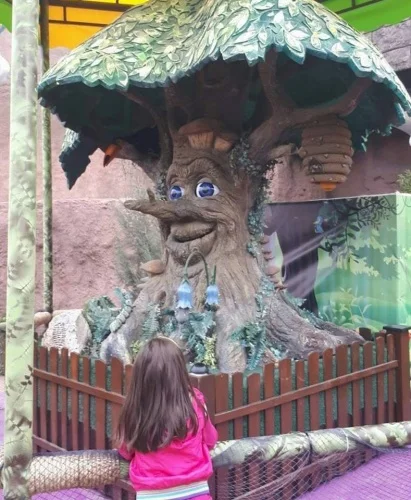 27973266_1988826091147215_6023909535561004373_n