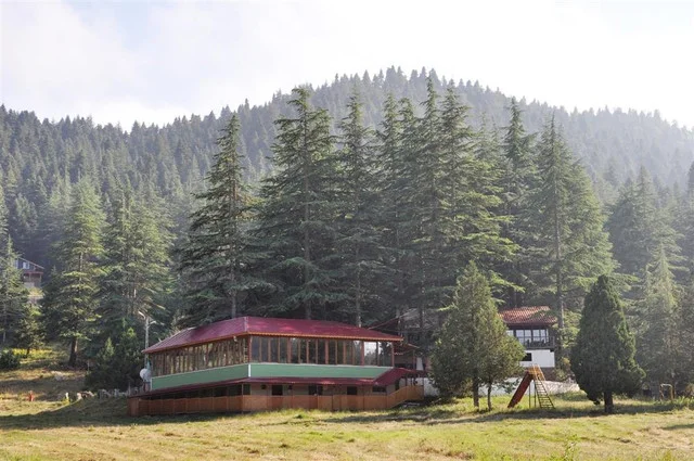 283829-baskonus-yaylasi-6jpg