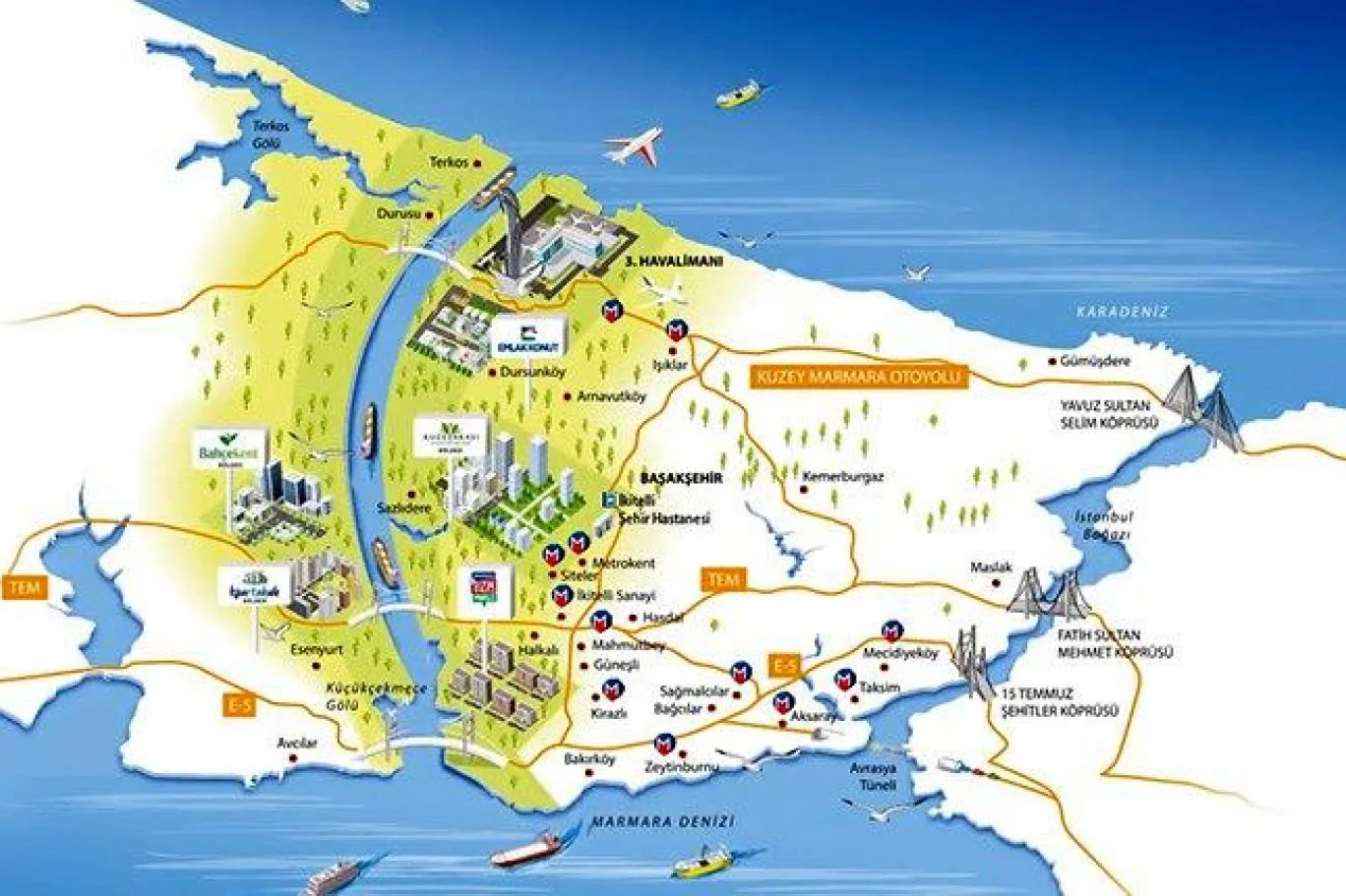 290736-1144507391 pct