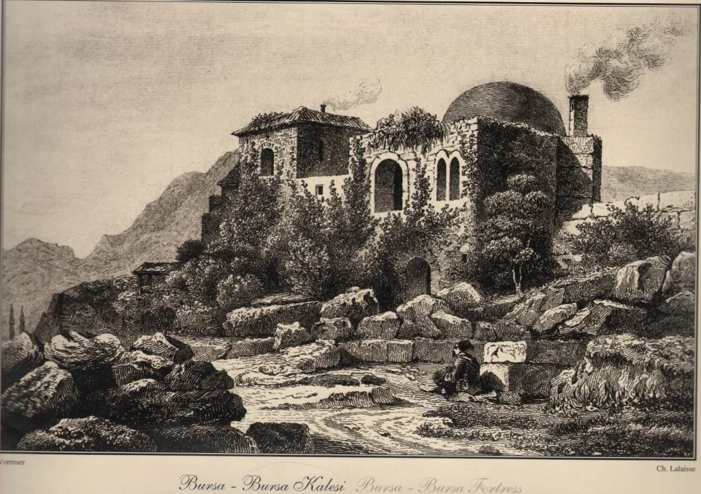 29418_mtvmotqyn2_large