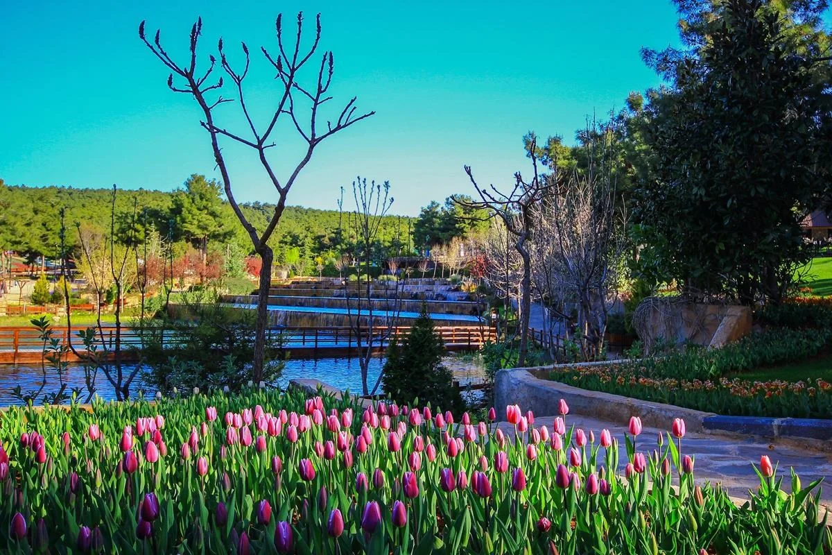 30-30-2906-1-204161016-Copy