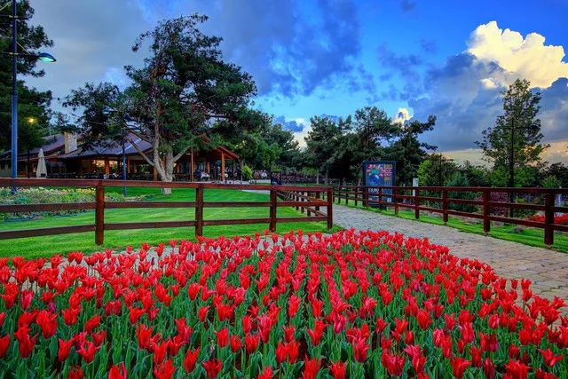 30-30-2908-4-176193486-Copy