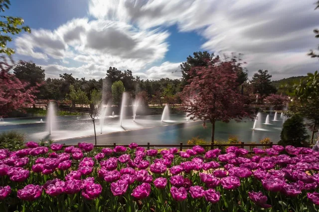 30-30-4591-4-983612023-Copy