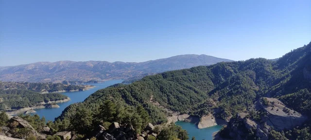 31131425-Whats-App-Image-2022-10-30-at-18-55-58-1