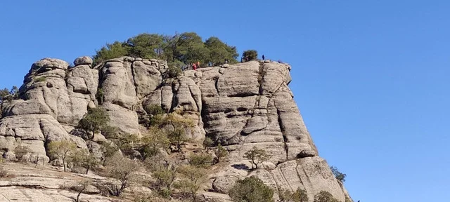 31131525-Whats-App-Image-2022-10-30-at-18-55-58-5