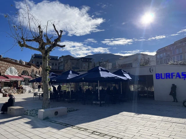 33804-MTY1-OGVj-OW-2