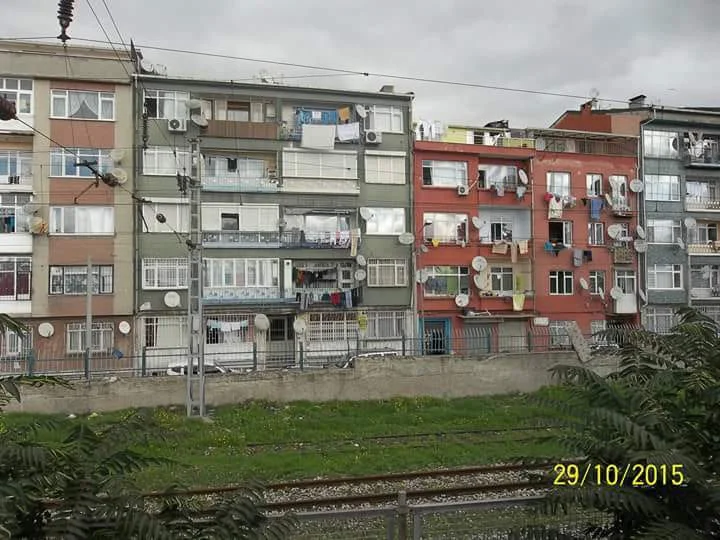 343632438_624858786324649_2222415541461561710_n